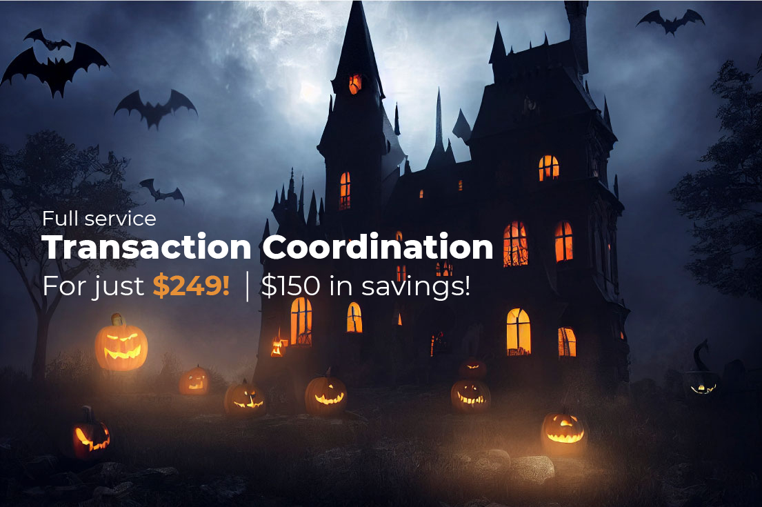 Transactly-Halloween-Email-Deal-2