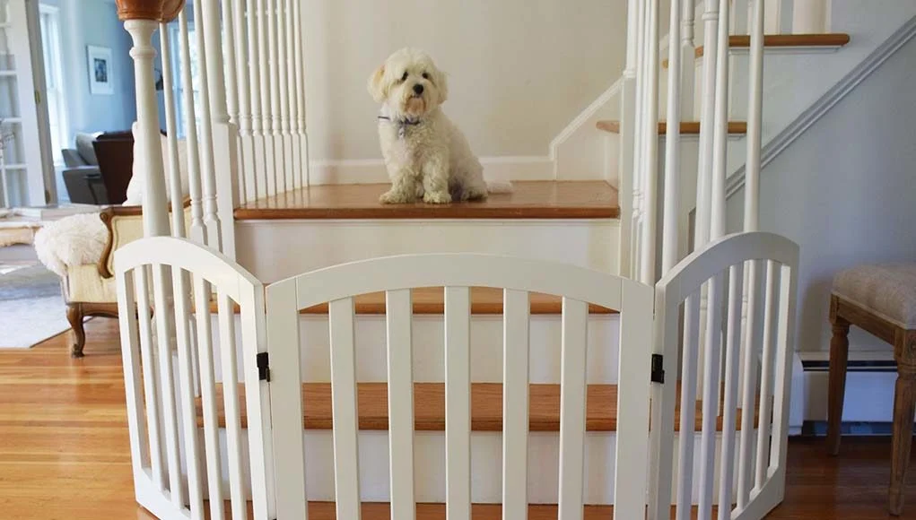 dogstairgate