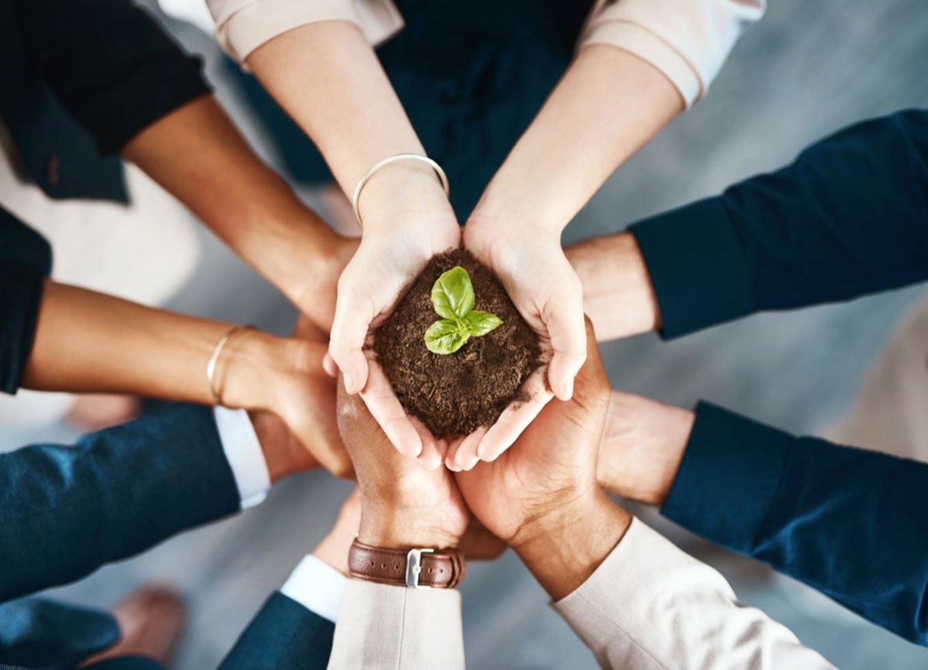 sustainability