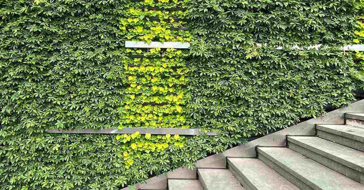 sustainablereal